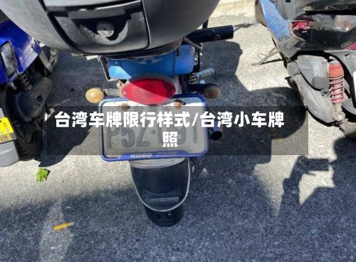 台湾车牌限行样式/台湾小车牌照